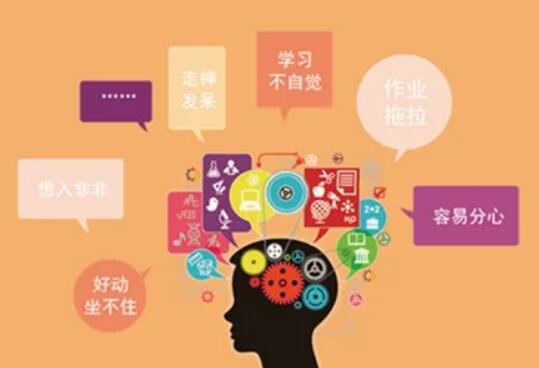 為什么要給孩子報(bào)專注力訓(xùn)練班？怎么訓(xùn)練專注力？